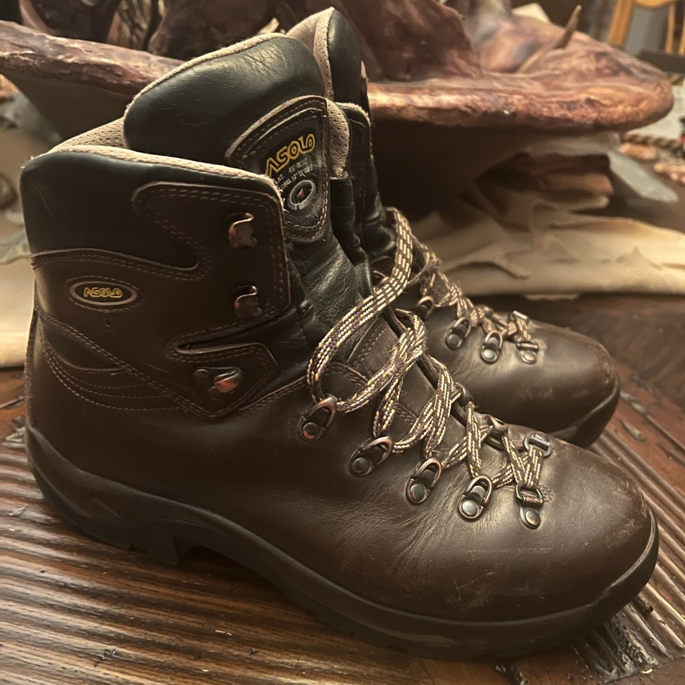 Asolo Men's TPS 520 GV Boot